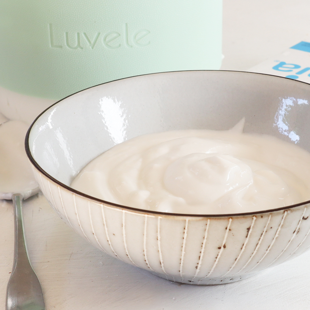 Step by step L.Reuteri coconut yoghurt recipe