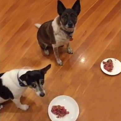 PETS ENJOY THE LUVELE MEAT GRINDER