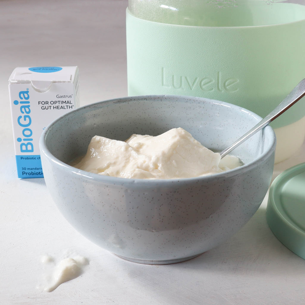 How to make L.Reuteri yoghurt